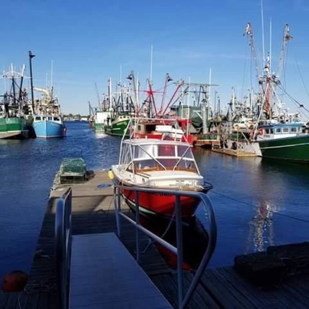 Meet your Posher, Dale